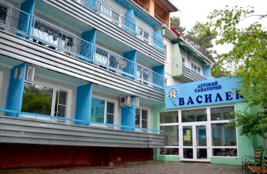 Детский лагерь Василёк