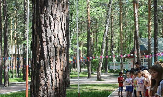 Лагерь Созвездие Юниор Новосибирск 2026