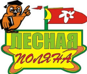 Детский лагерь Лесная поляна