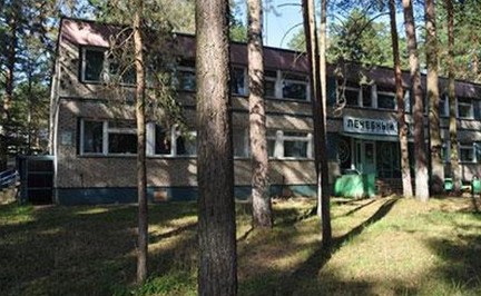 Детский лагерь Лесная опушка