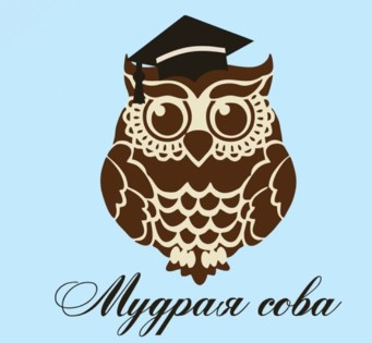 Детский лагерь Мудрая сова