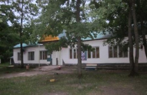 Лагерь Дружные ребята Сызрань  2026