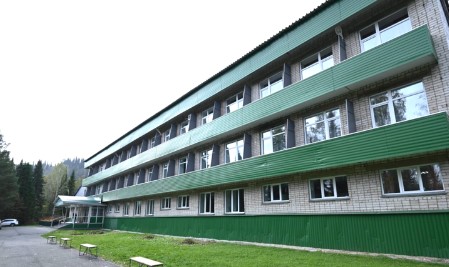 Детский лагерь Ромашка