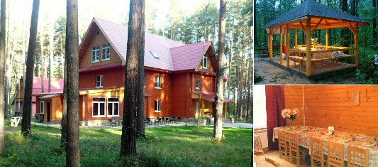 База отдыха База отдыха Незабудка в Свердловской области на Новый Год 2027 — уютные коттеджи, баня, праздничная программа