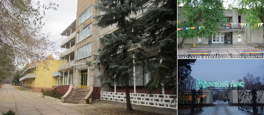 База отдыха База отдыха Русский лес в Омской области на Новый Год 2027 — уютные коттеджи, баня, праздничная программа